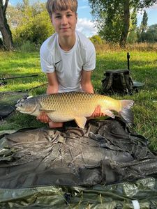 Grass Carp