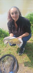 Tench