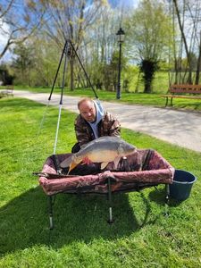 Mirror Carp