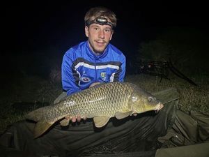 Common Carp