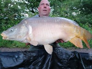 Mirror Carp