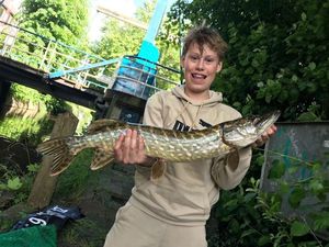 Northern Pike