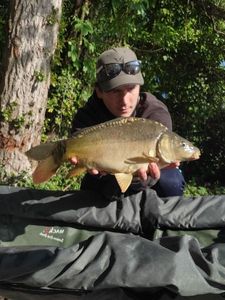 Mirror Carp