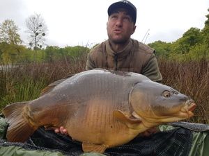 Mirror Carp