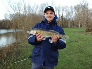 Zander