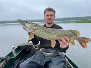 Northern Pike