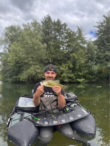 Largemouth Bass