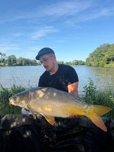 Mirror Carp
