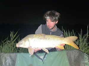Common Carp