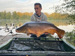 Mirror Carp