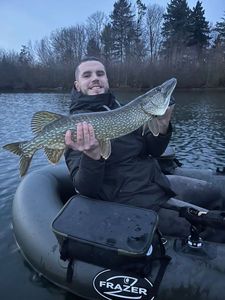 Northern Pike