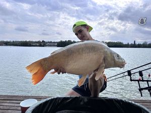 Mirror Carp