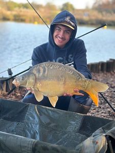 Mirror Carp