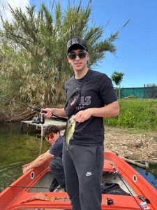 Largemouth Bass