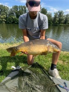 Mirror Carp