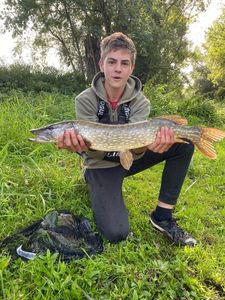 Northern Pike