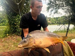 Common Carp
