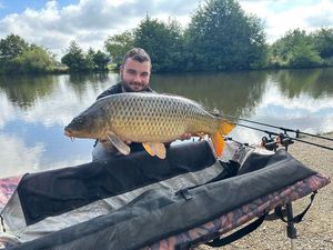 Common Carp