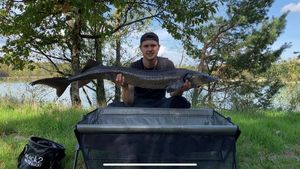 Sturgeon