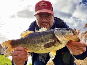Largemouth Bass