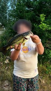 Largemouth Bass