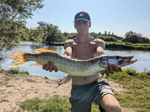 Northern Pike