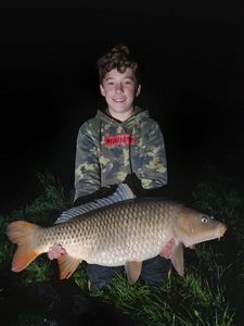 Common Carp