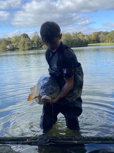 Mirror Carp