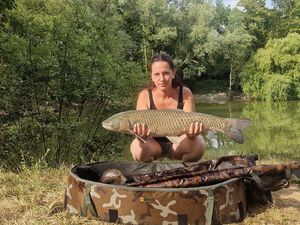 Grass Carp