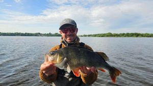 European Perch
