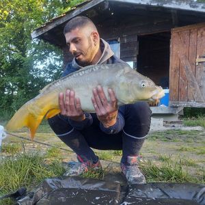 Leather Carp