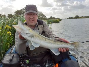 Zander
