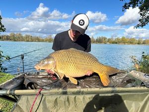 Common Carp