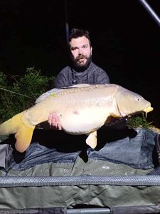 Mirror Carp