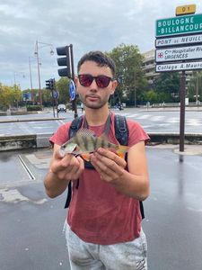 European Perch