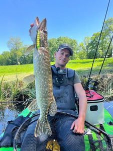 Northern Pike