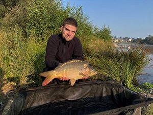 Mirror Carp