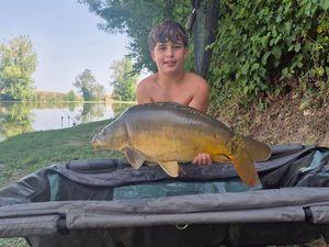 Mirror Carp