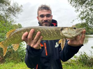 Northern Pike