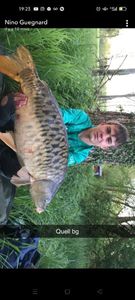 Leather Carp