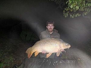 Common Carp