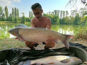 Grass Carp