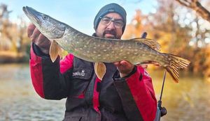 Northern Pike