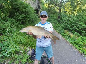 Barbel