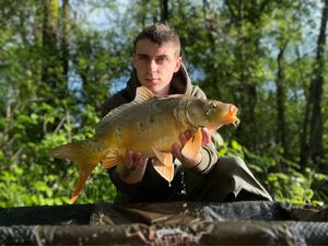 Mirror Carp