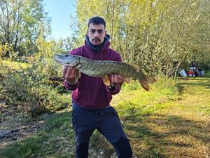 Northern Pike