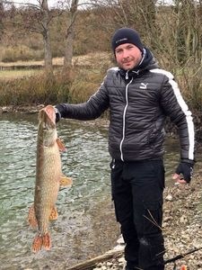 Northern Pike