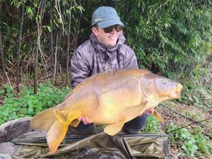 Mirror Carp