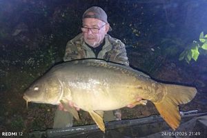 Mirror Carp