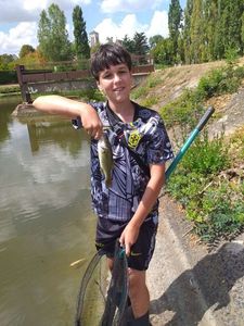 Largemouth Bass